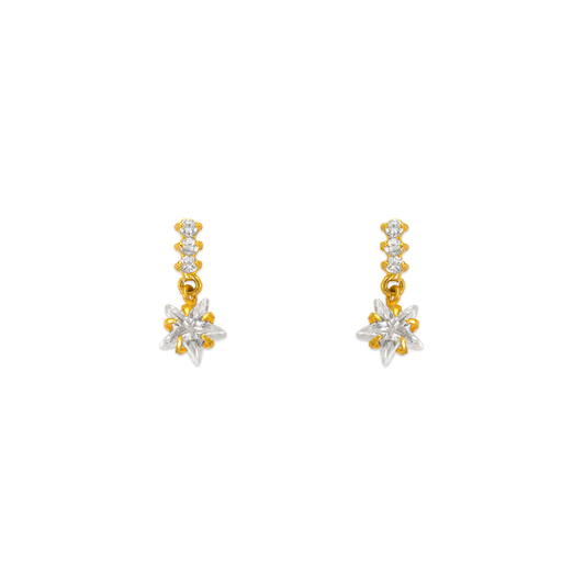 Dangling Star CZ Stud Earrings